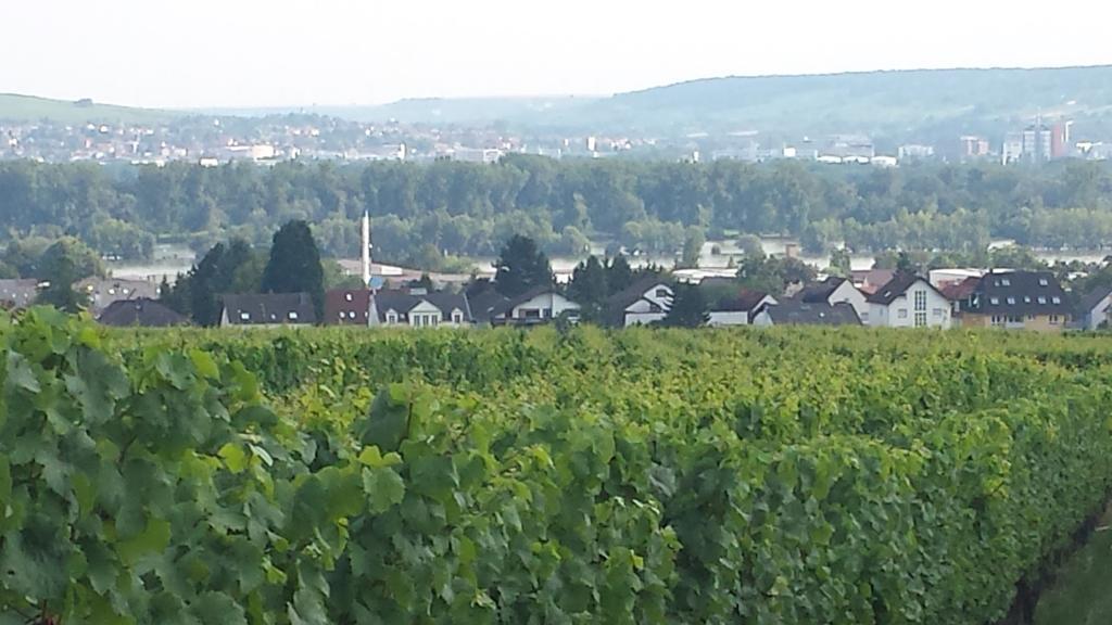 Ferienwohnung Weingut Leis Oestrich-Winkel Δωμάτιο φωτογραφία